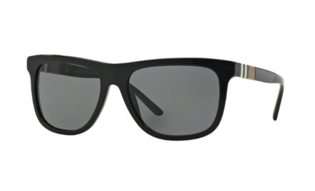 Burberry BE4201 | Lunettes de soleil homme