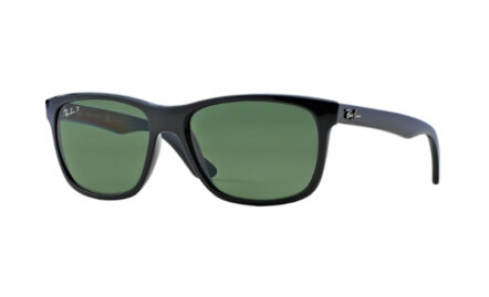 Ray-Ban RB4181 | Lunettes de soleil homme