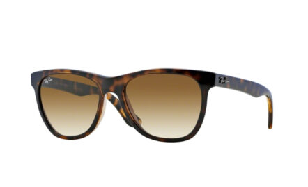 Ray-Ban RB4184 | Lunettes de soleil homme