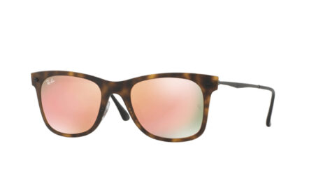 Ray-Ban RB4210 | Lunettes de soleil homme