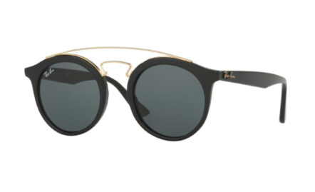 Ray-Ban  RB4256 | Lunettes de soleil unisex