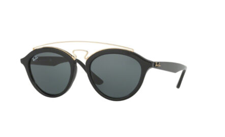 Ray-Ban  RB4257 | Lunettes de soleil femme