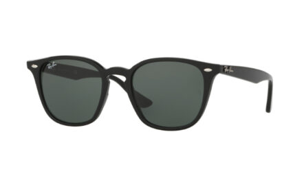 Ray-Ban  RB4258 | Lunettes de soleil unisex