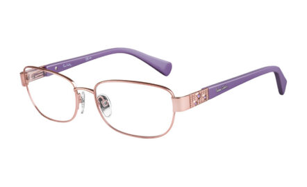 Pierre Cardin P.C.8801 | Lunettes de vue femme