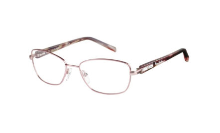 Pierre Cardin P.C.8808 | Lunettes de vue femme