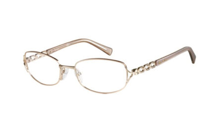 Pierre Cardin P.C.8809 | Lunettes de vue femme