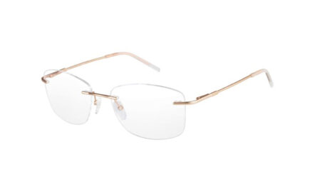 Pierre Cardin P.C.8826 | Lunettes de vue femme