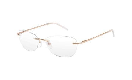 Pierre Cardin P.C.8827 | Lunettes de vue femme